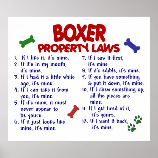 BOXER PL2 POSTER (Voorkant)