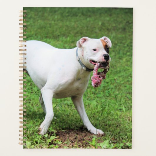 Boxer Planner (Voorkant)