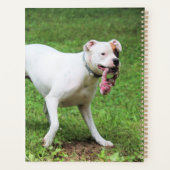 Boxer Planner (Achterkant)