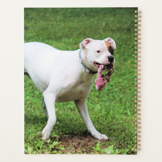 Boxer Planner (Achterkant)