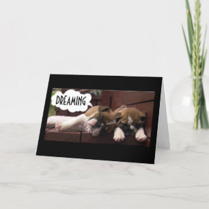 BOXER POPS WIST JE *DE BESTE BIRTHDAY OOIT** KAART