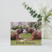 Boxer Post Card Briefkaart (Staand voorkant)