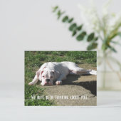 Boxer Post Card Briefkaart (Staand voorkant)