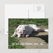 Boxer Post Card Briefkaart (Voorkant / Achterkant)