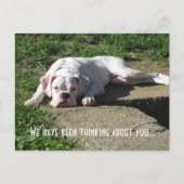 Boxer Post Card Briefkaart (Voorkant)