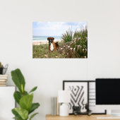 Boxer Poster dat zich in het beekgras schuilt (Thuiskantoor)