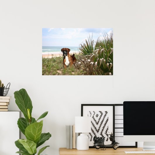 Boxer Poster dat zich in het beekgras schuilt (Thuiskantoor)