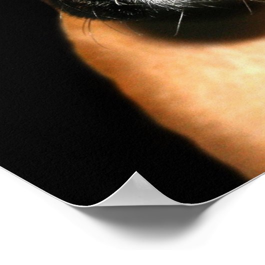 Boxer pup canvas afdrukken poster (Hoek)