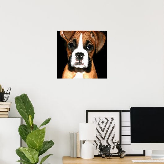 Boxer pup canvas afdrukken poster (Thuiskantoor)