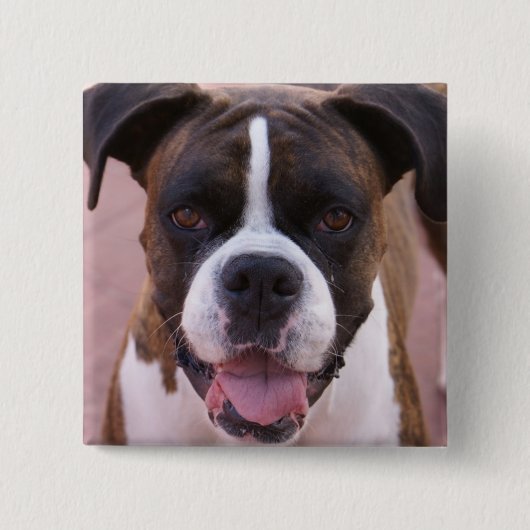 Boxer Pup Square Pin Vierkante Button 5,1 Cm (Voorkant)