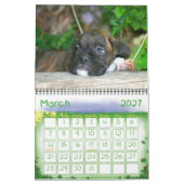 Boxer Puppies 2010 Agenda Kalender (Mar 2027)