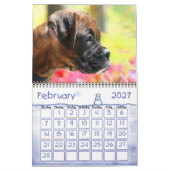 Boxer Puppies 2010 Agenda Kalender (Feb 2027)