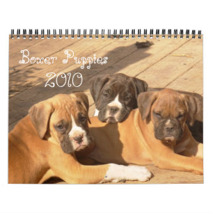 Boxer Puppies 2010 Agenda Kalender