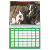 Boxer Puppies 2011 Agenda Kalender (Mar 2027)