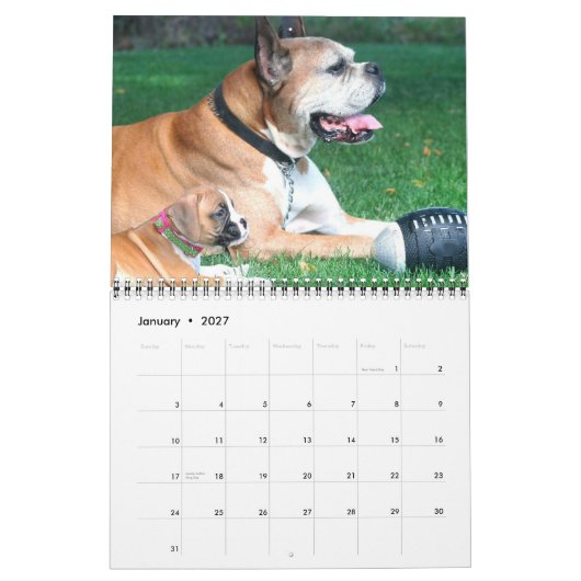 Boxer Puppies 2012 Agenda Kalender (Jan 2027)