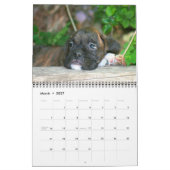 Boxer Puppies 2012 Agenda Kalender (Mar 2027)