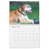 Boxer Puppies 2013 Agenda Kalender (Feb 2026)