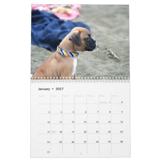 Boxer Puppies 2013 Agenda Kalender (Jan 2027)
