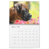 Boxer Puppies 2015 Agenda Kalender (Feb 2027)