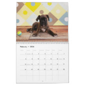 Boxer-Puppies 2017 Kalender (Feb 2026)