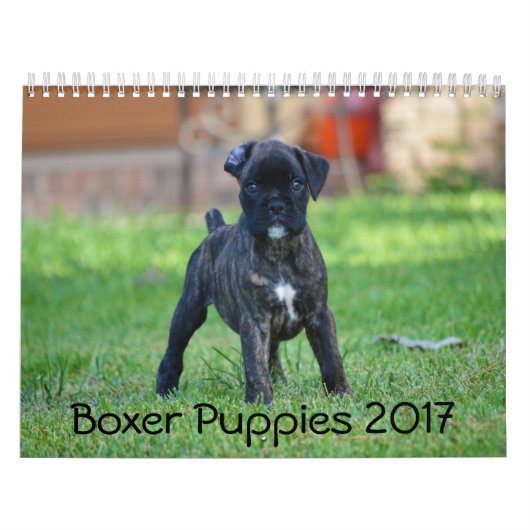 Boxer-Puppies 2017 Kalender (Hoes)