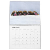 Boxer-Puppies 2017 Kalender (Jan 2027)