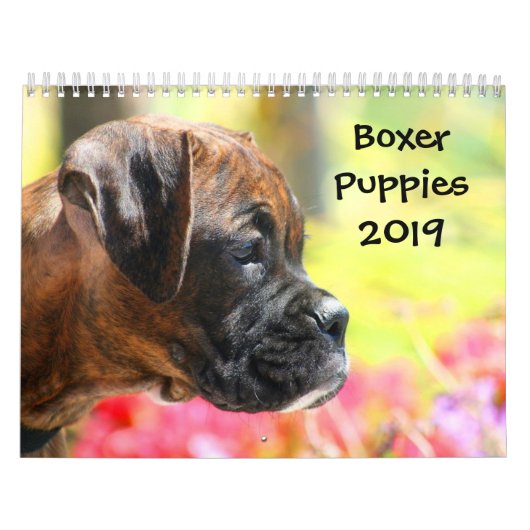 Boxer Puppies 2019 Agenda Kalender (Hoes)