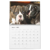 Boxer Puppies 2019 Agenda Kalender (Mar 2027)