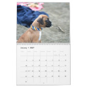 Boxer Puppies 2019 Agenda Kalender (Jan 2027)