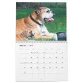 Boxer Puppies 2019 Agenda Kalender (Feb 2027)