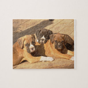 Boxer puppies 8x10 Fotopuzzel met tin Legpuzzel