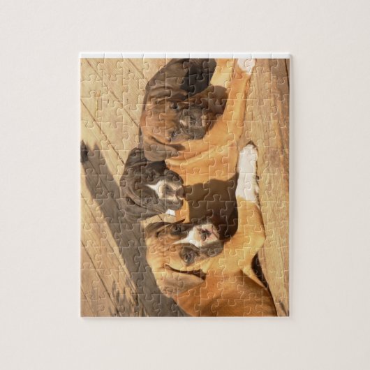 Boxer puppies 8x10 Fotopuzzel met tin Legpuzzel (Verticaal)