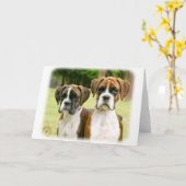 Boxer puppies 9Y049D-064 Kaart (Gele Bloem)