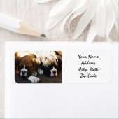Boxer Puppies Adresetiketten Etiket (Insitu)