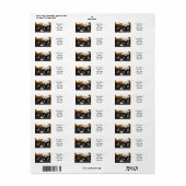 Boxer Puppies Adresetiketten Etiket (Full Sheet)