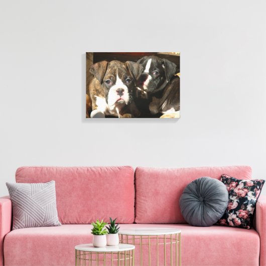 Boxer puppies canvas print (Insitu (Woonkamer))
