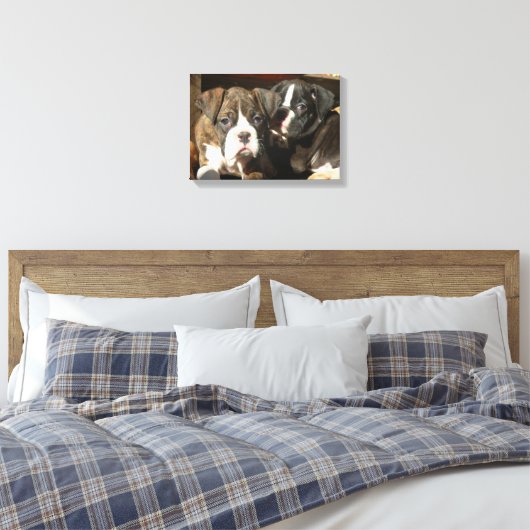 Boxer puppies canvas print (Insitu (Slaapkamer))