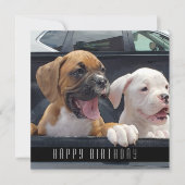 Boxer Puppies Happy Birthday Dogs kondiging Aankondiging (Voorkant)