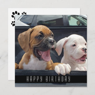 Boxer Puppies Happy Birthday Dogs kondiging Aankondiging