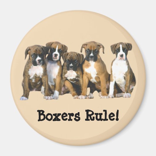 Boxer Puppies magneet (Voorkant)