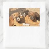 Boxer puppies stickers (Tas)