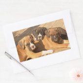 Boxer puppies stickers (Envelop)