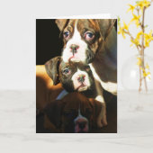 Boxer puppies Wenskaart Kaart (Gele Bloem)