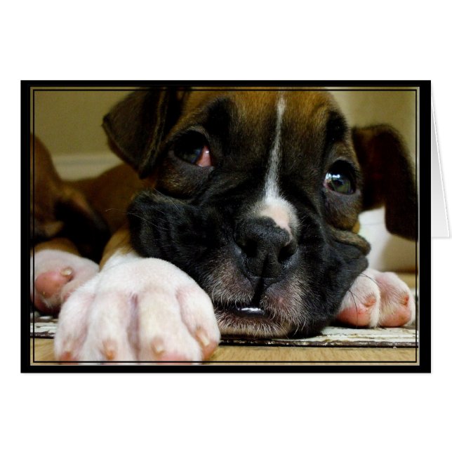 Boxer Puppy Briefkaart (Voorkant Horizontaal)