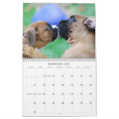 Boxer Puppy Calendar 2013 Kalender (Feb 2027)