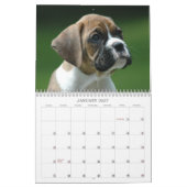 Boxer Puppy Calendar 2013 Kalender (Jan 2027)