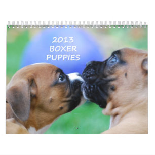 Boxer Puppy Calendar 2013 Kalender