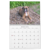 Boxer Puppy Calendar 2013 Kalender (Mar 2026)