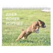 Boxer Puppy Calendar 2013 Kalender (Hoes)