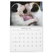 Boxer Puppy Calendar 2013 Kalender (Feb 2027)